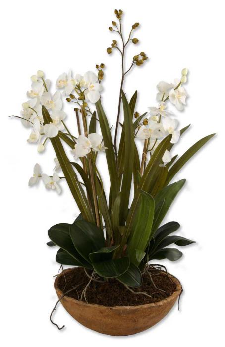 Uttermost 60039 Moth Orchid Planter - фото 1