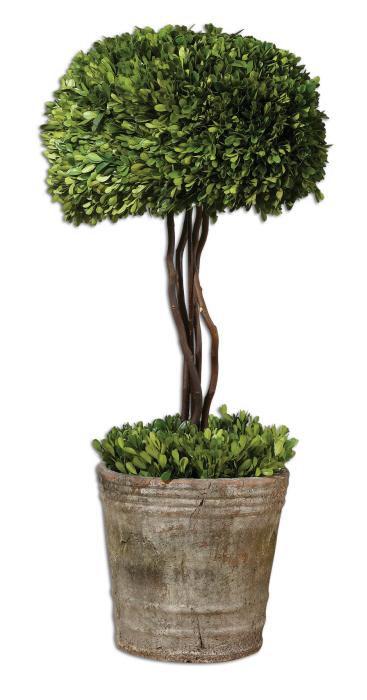 Uttermost 60095 Preserved Boxwood, Tree Topiary - фото 2
