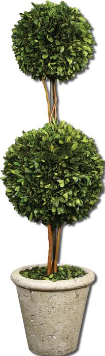 Uttermost 60106 Preserved Boxwood, Two Sphere Topiar - фото 2