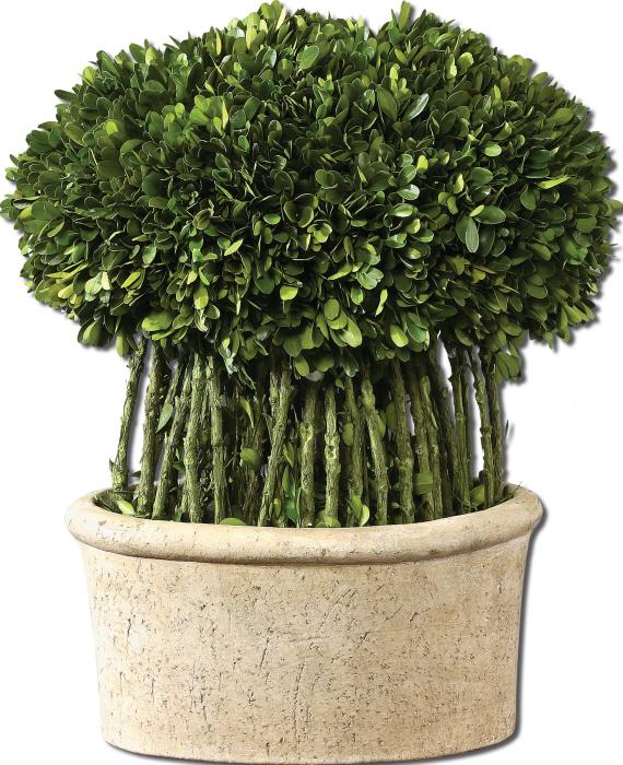 Uttermost 60108 Preserved Boxwood, Willow Topiary - фото 2