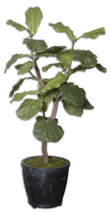 Uttermost 61000 Fiddle Leaf Fig, 5