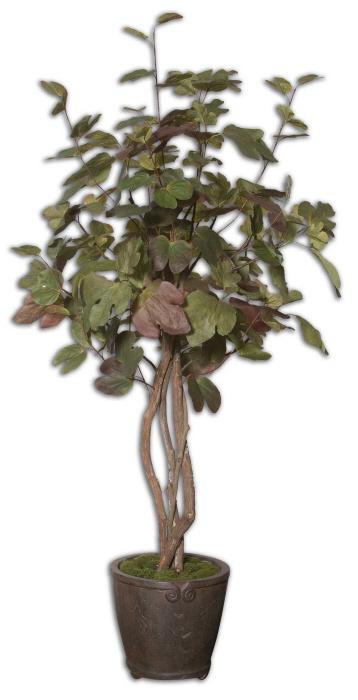 Uttermost 61003 Katreil, 7