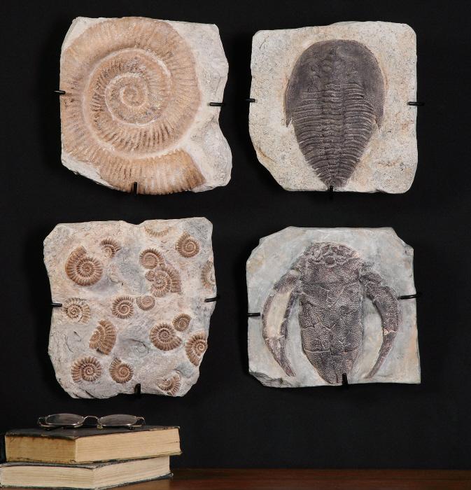 Uttermost 08504 Fossil Plaques, S/4 - фото 1