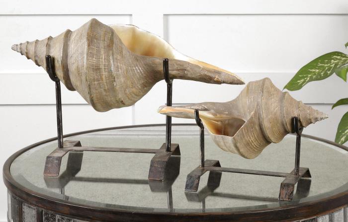Uttermost 19556 Conch Shell, Sculpture, S/2 - фото 1