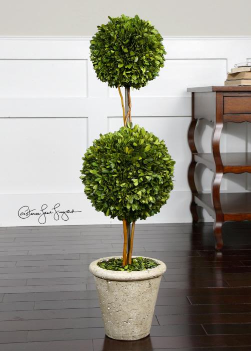 Uttermost 60106 Preserved Boxwood, Two Sphere Topiar - фото 1