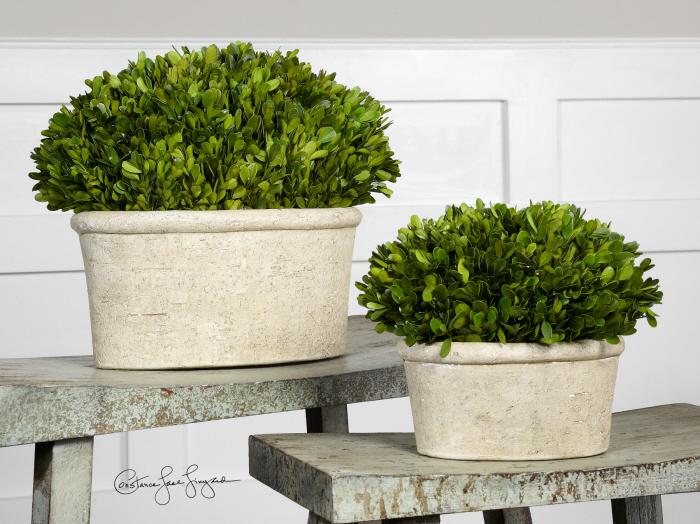 Uttermost 60107 Preserved Boxwood, Oval Domes, S/2 - фото 1