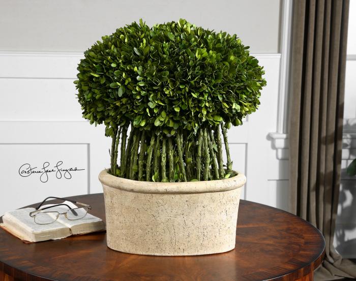 Uttermost 60108 Preserved Boxwood, Willow Topiary - фото 1