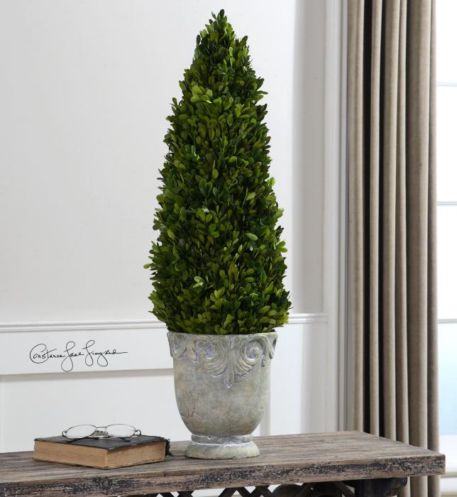 Uttermost 60111 Boxwood, Cone Topiary - фото 1