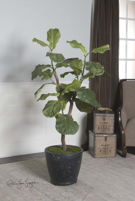 Uttermost 61000 Fiddle Leaf Fig, 5