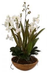 Uttermost 60039 Moth Orchid Planter