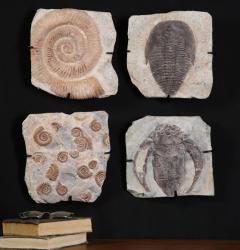 Uttermost 08504 Fossil Plaques, S/4