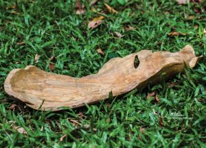 Uttermost 17085 Teak Leaf Bowl