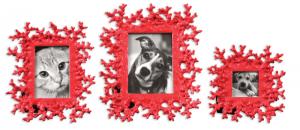 Uttermost 18559 Red Coral