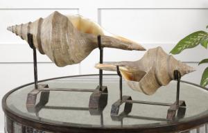 Uttermost 19556 Conch Shell, Sculpture, S/2