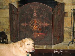 Uttermost 20508  Egan, Fireplace Screen