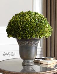 Uttermost 60092 Preserved Boxwood,Globe