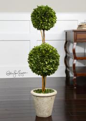 Uttermost 60106 Preserved Boxwood, Two Sphere Topiar