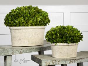 Uttermost 60107 Preserved Boxwood, Oval Domes, S/2