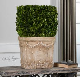 Uttermost 60110 Boxwood, Hedge Planter