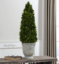 Uttermost 60111 Boxwood, Cone Topiary