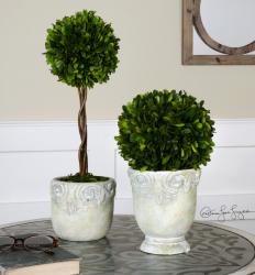 Uttermost 60112 Preserved Boxwood, Ball Topiaries, S