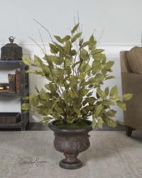 Uttermost 61005 Sugary Salal, Evergreen Plant